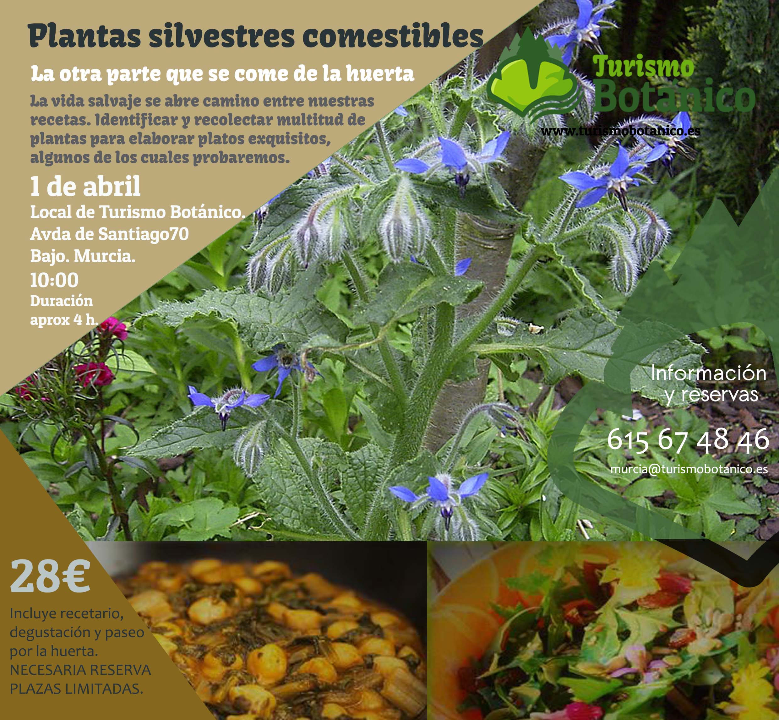 PlantasSilvestres_01042023