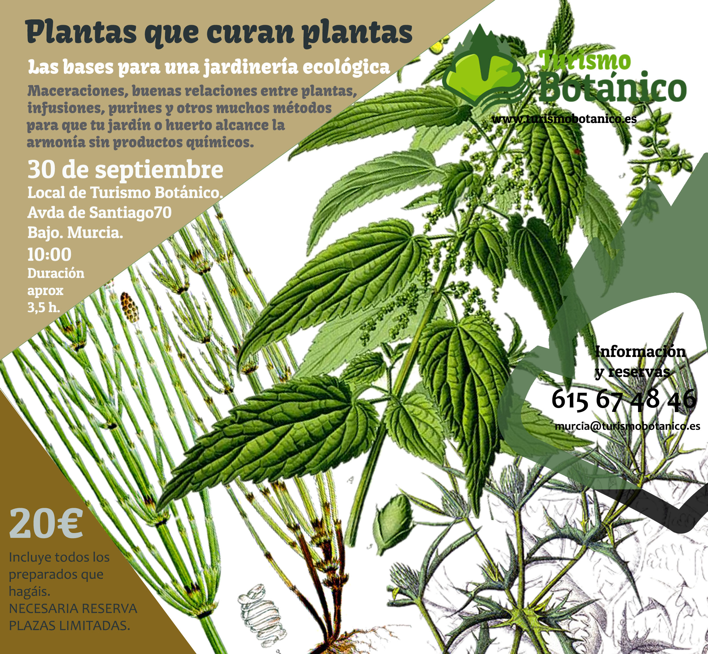 PlantasCuranPlantas_30092023