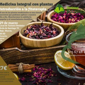 Murcia: Taller de Medicina Integral con Plantas | 29 Marzo 2025 (copia)