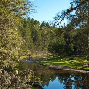 Parque Natural Cañón del Río Lobos | Del 17 al 20 de Abril de 2025