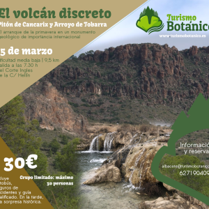 ALBACETE: El volcán discreto, Cancarix y Arroyo de Tobarra | 15 marzo 2025