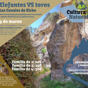 ALBACETE: Elefantes VS toros (actividad familiar) | 9 marzo 2025