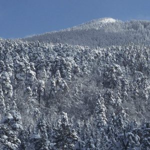 Las Nieves de Machado | 28 marzo – 3 marzo 2025 – desde Madrid