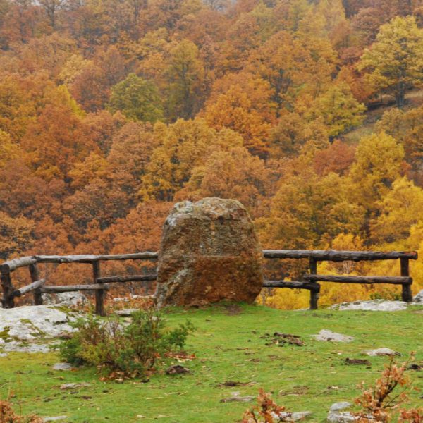 Dehesa-Somosierra1