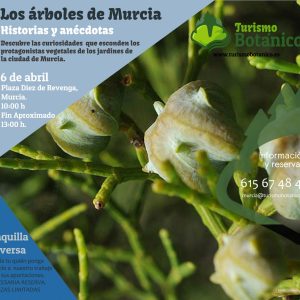 MURCIA: Plantas Silvestres Comestibles | 5 Abril 2025<br><br>