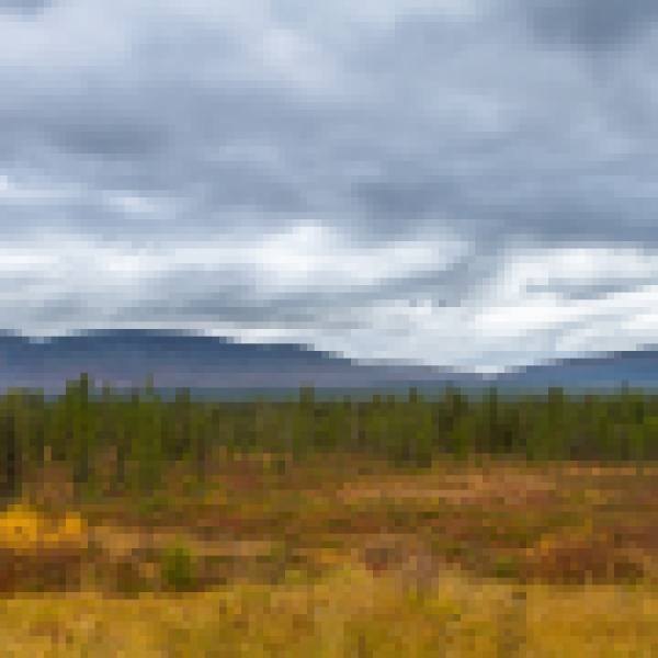 Parque-Nacional-Yllas-Pallas-127x90