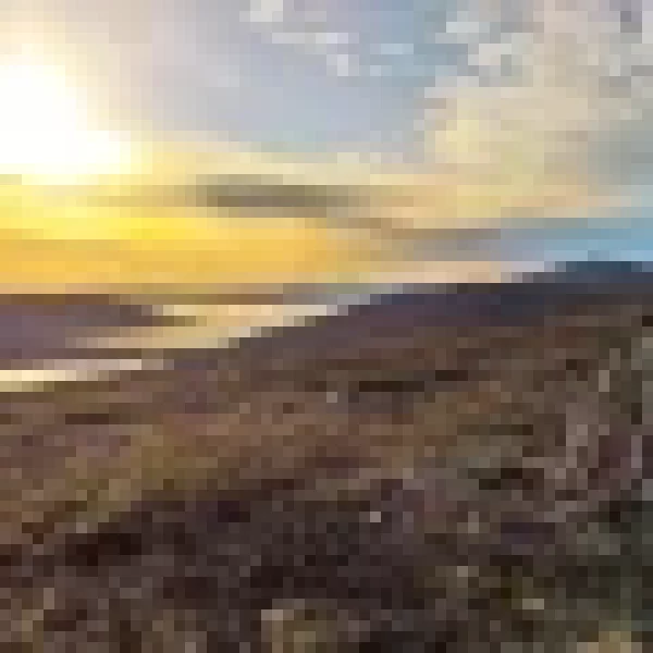 Parque-Nacional-Yllas-Pallas-128x60