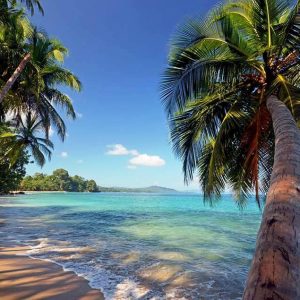Costa Rica La Mayor Riqueza Natural  Del 9 al 24 de Agosto de 2025