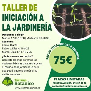 Murcia: Taller de Iniciación a la Jardinería | De Enero a Marzo 2025