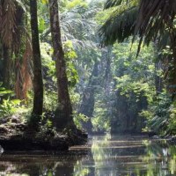 TortugueroNationalPark-200x300