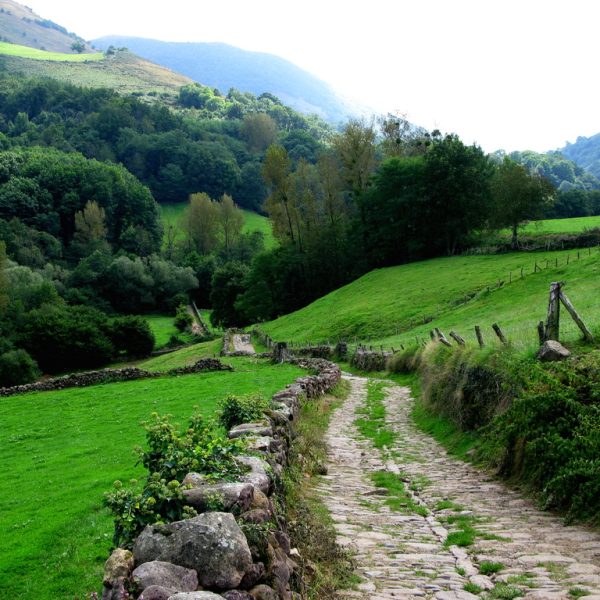 camino-xoxorrin-imagen-generica-relleno