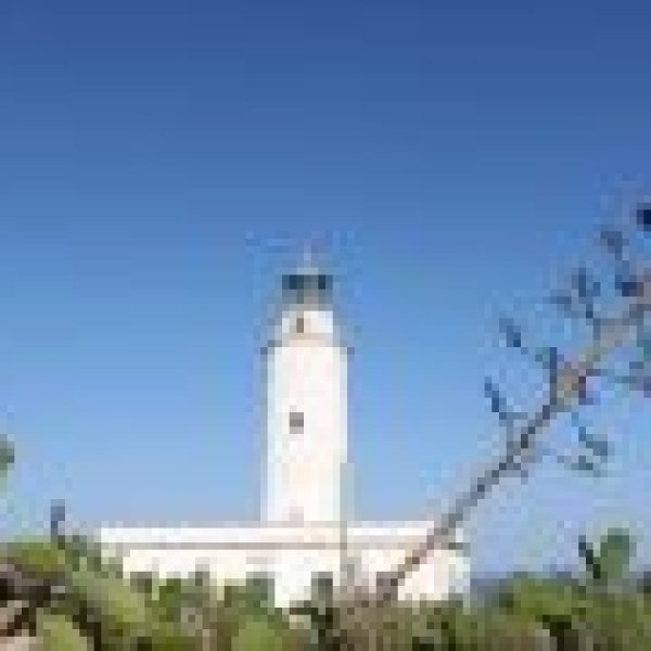 faro-mola-3000x2500-1-135x90