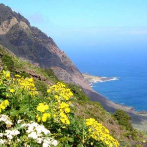 Isla de El Hierro: La Joven y Desconocida Isla Canaria | Del 21 al 26 de Abril 2025