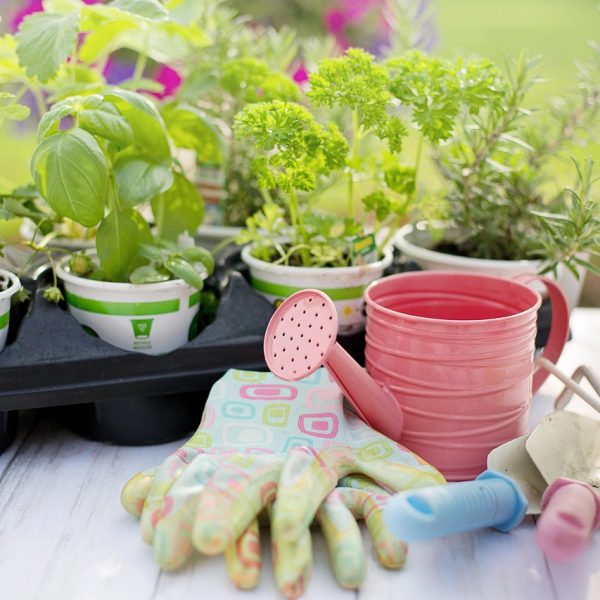 planting-4226838_1280
