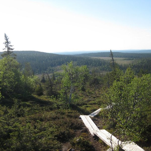 summer-hiking-routes