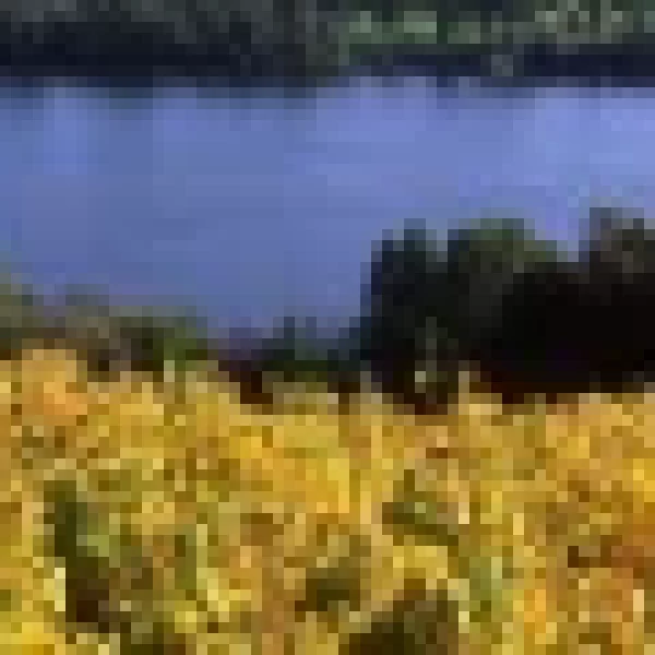val_de_loire_panoramas_vignes_087542f956-137x60