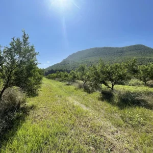 Escapadas y Viajes de Naturaleza en España