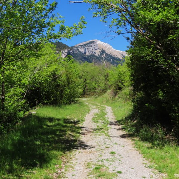 PNCadí-Moixeró