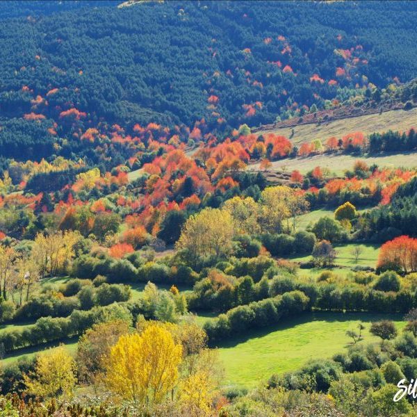 OTOÑO