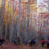 La Rioja en Otoño | Del 8 al 12 de Octubre de 2025 Pago 2 - Image 8