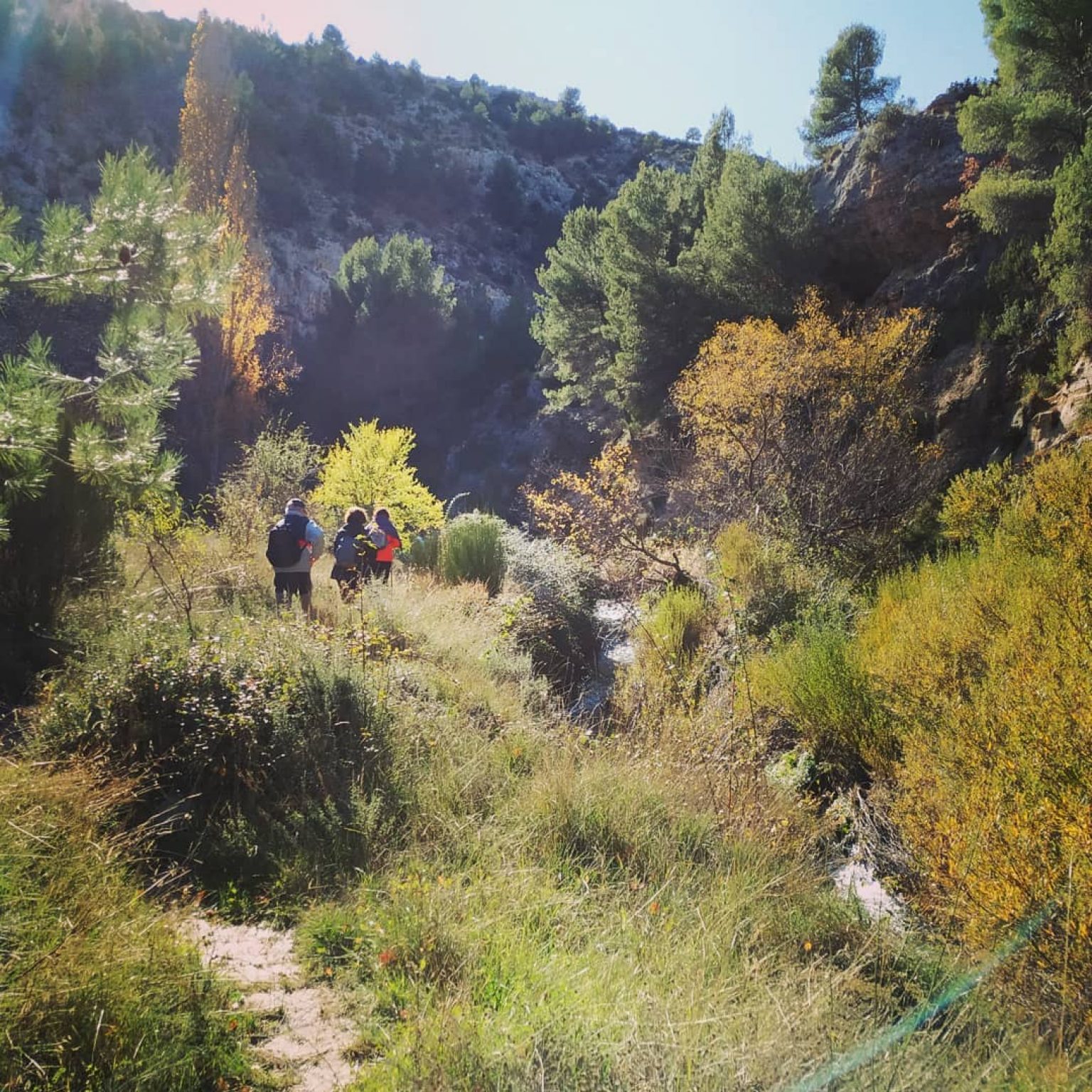 Feria de la Nuez y la naturaleza de Yeste | Del 21 al 22 de noviembre.