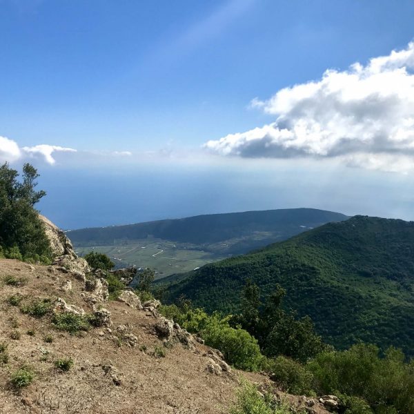 paisaje3