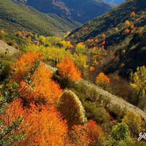 La Rioja en Otoño | Del 8 al 12 de Octubre de 2025