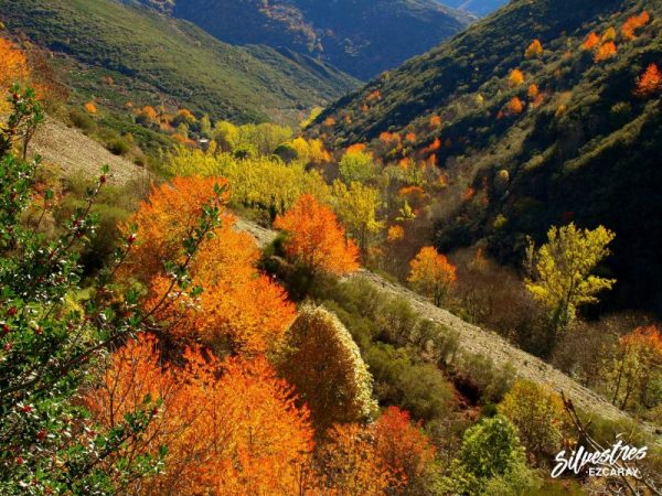 La Rioja en Otoño | Del 8 al 12 de Octubre de 2025 Pago 2