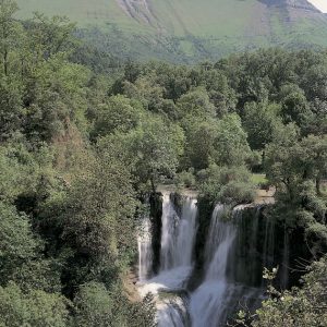Merindades: La Castilla Verde | Del 24 al 26 Octubre 2025
