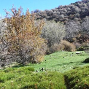 La Dehesa del Camarate | Del 31 de Octubre al 2 de Noviembre 2025