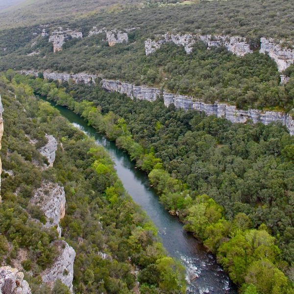 Ebro