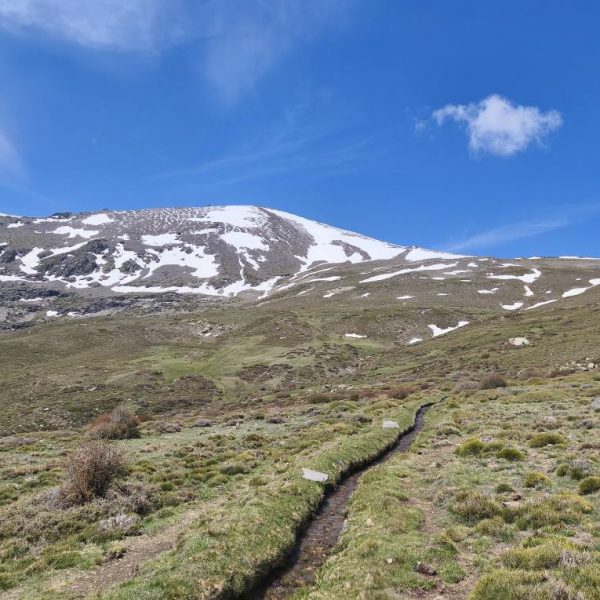 Marquesado 2