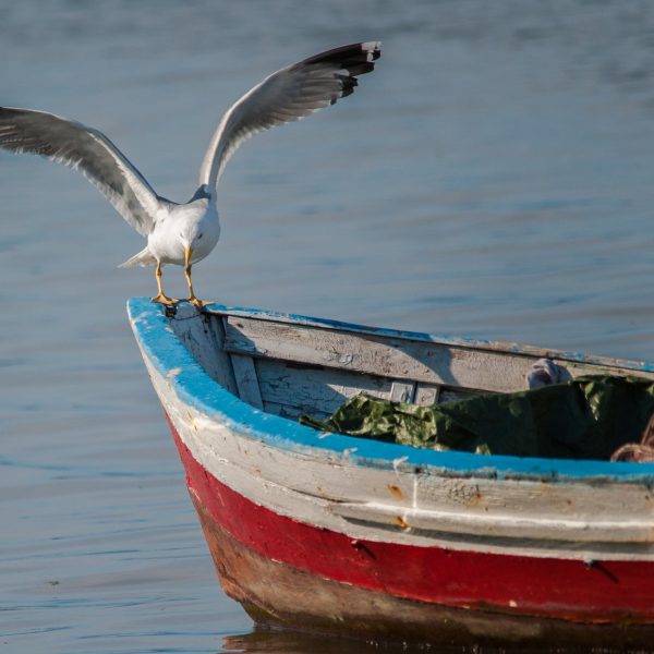 Pescatori