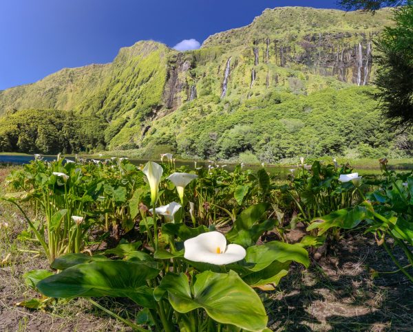 Azores Perdidas | Del 8 al 16 de Noviembre 2025 Pago 4