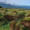 Azores Perdidas | Del 8 al 16 de Noviembre 2025 Pago 4 - Image 15