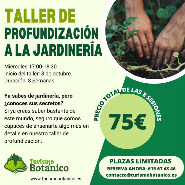TalleresExcursiones