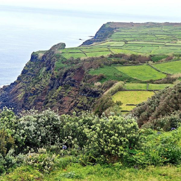 Terceira5
