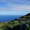 Azores Perdidas | Del 8 al 16 de Noviembre 2025 Pago 4 - Image 7