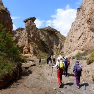 Excursiones y actividades de un día