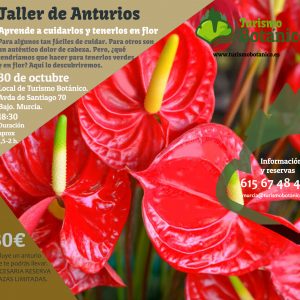 Murcia: Taller de Anturios | 30 Octubre 2025