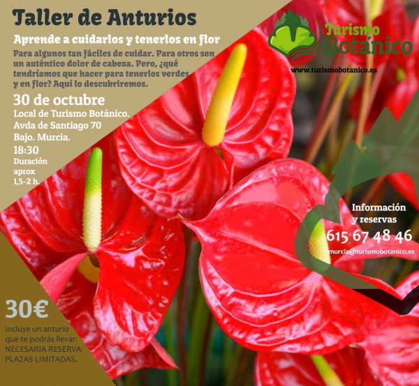 Murcia: Taller de Anturios | 30 Octubre 2025