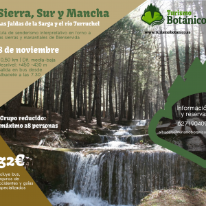 Excursión al río Turruchel