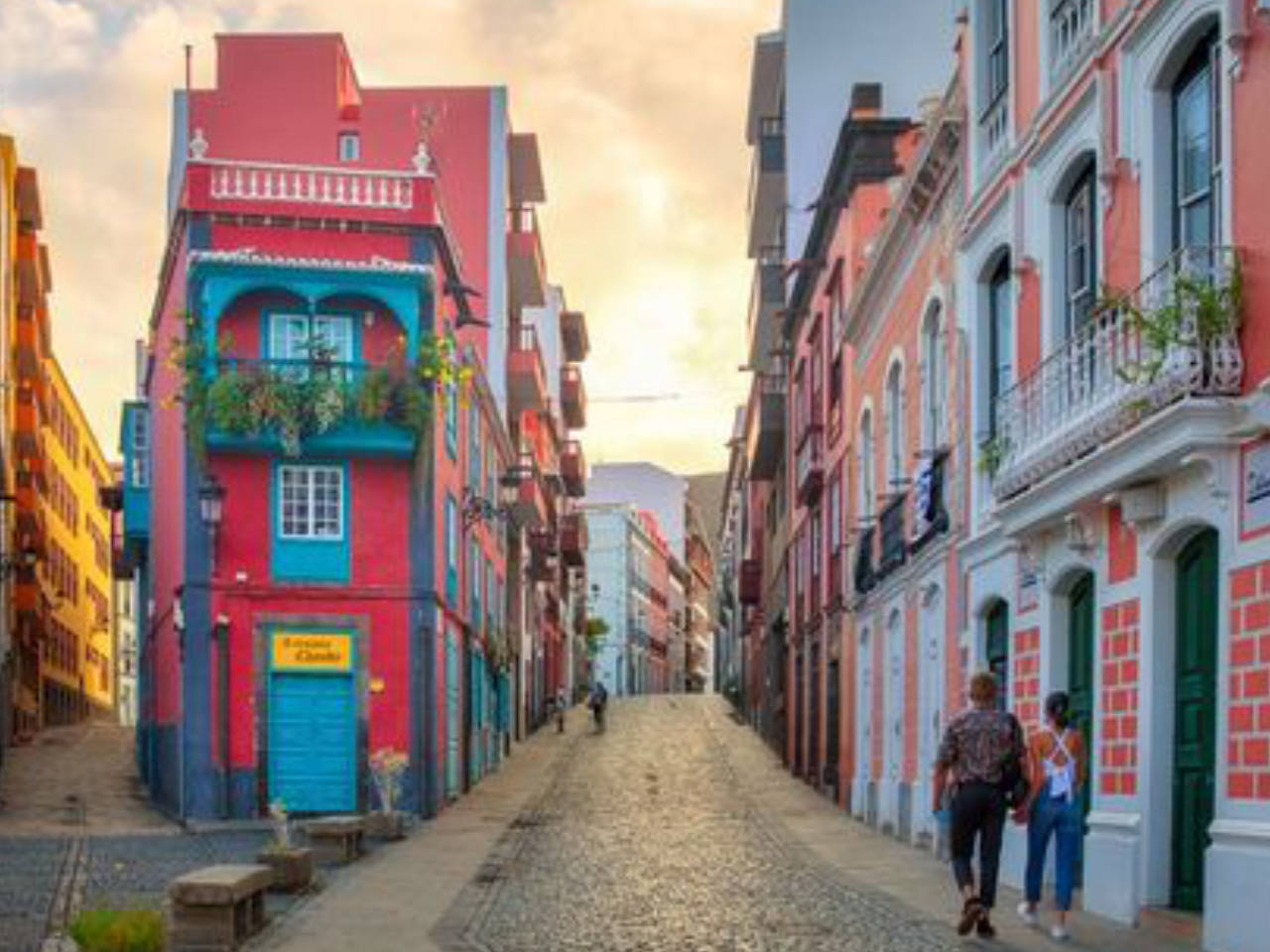 La Palma: Carnaval de biodiversidad | Del 23 de Febrero al 1 de Marzo 2026 - Image 2