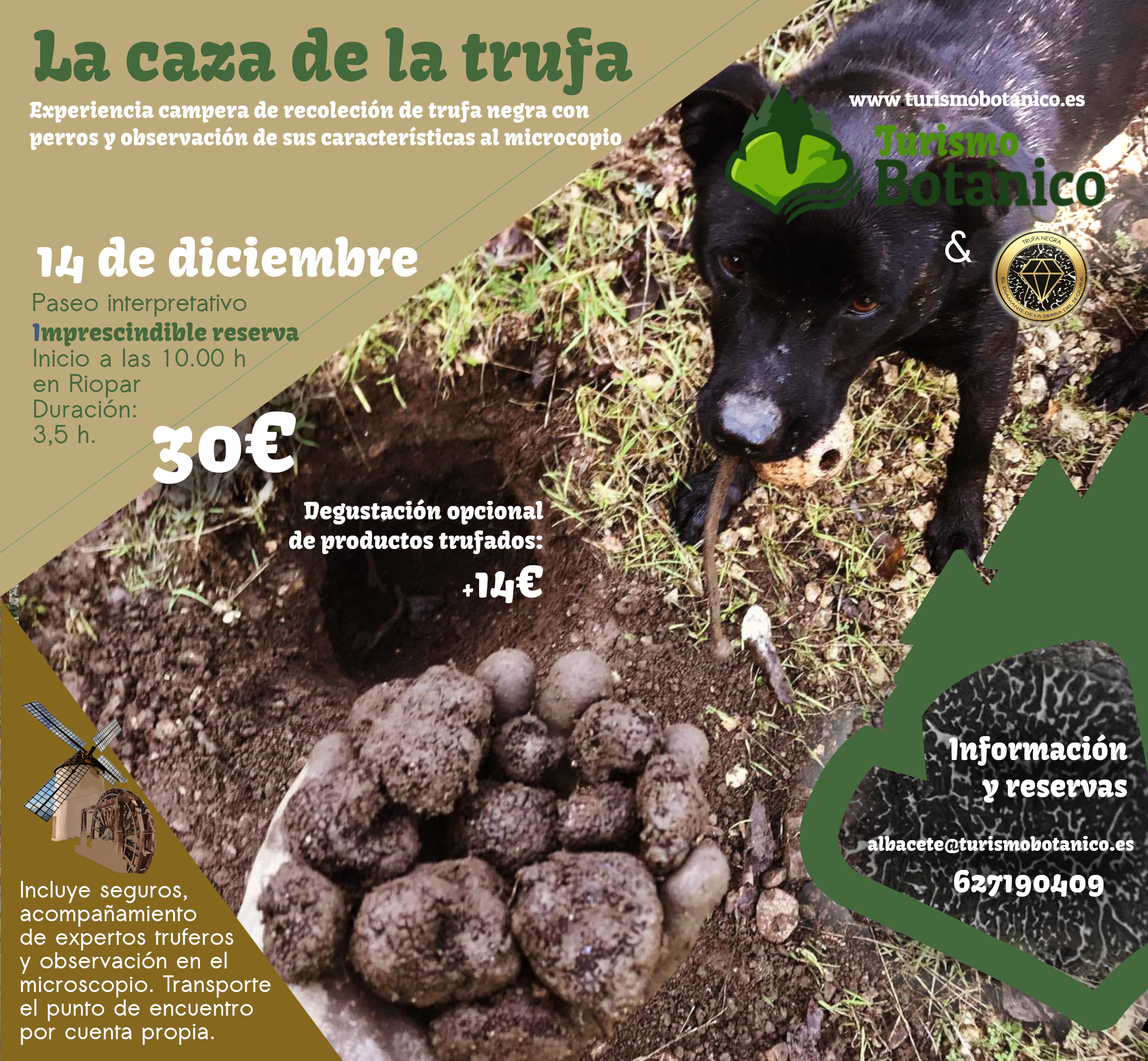 ALBACETE: La caza de la trufa | Búsqueda con perros | 14 de diciembre 2025