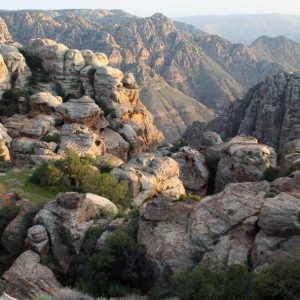 Jordania: Un oasis en paz | Del 27 de Marzo al 3 de Abril 2026