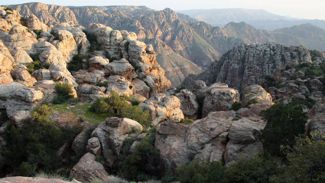 Jordania: Un oasis en paz | Del 27 de Marzo al 3 de Abril 2026