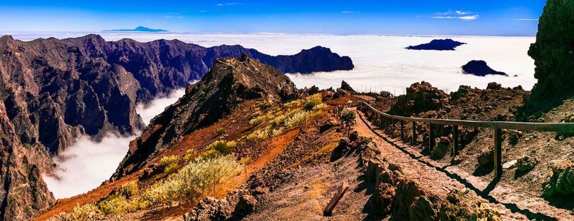 La Palma: Carnaval de biodiversidad | Del 23 de Febrero al 1 de Marzo 2026 - Image 4