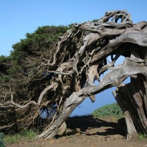 — Mas viajes y escapadas de Naturaleza en España