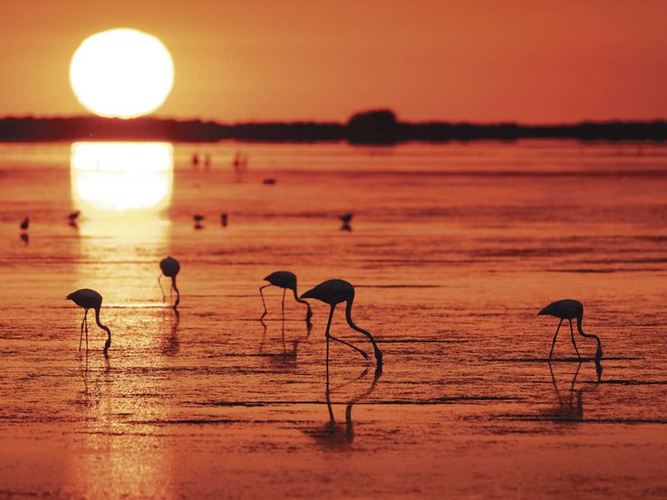 Pirineo Catalán | Del 20 al 24 de Mayo de 2026 | Reserva - Imagen 4