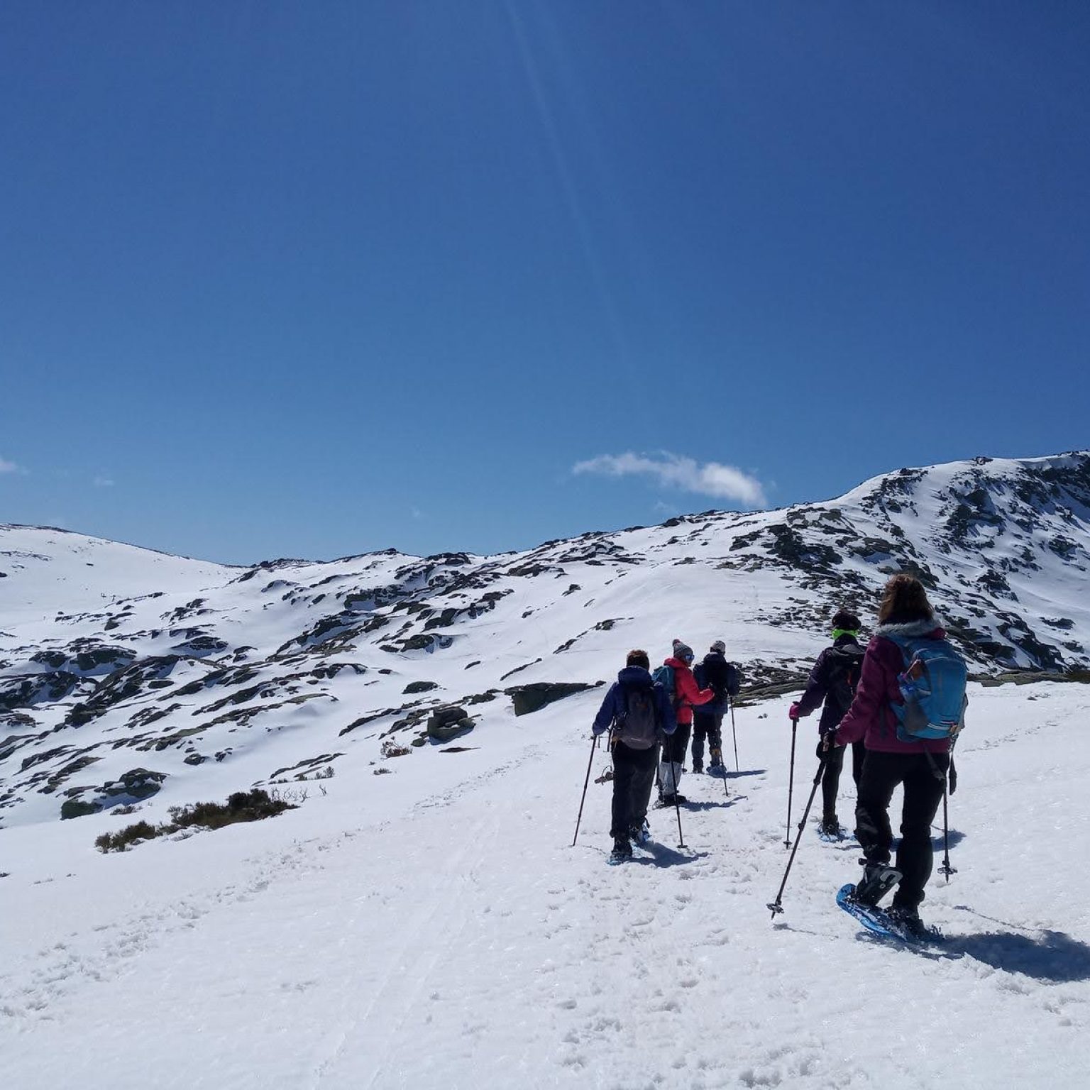 Plataforma de Gredos